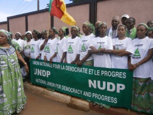 Les militants de l'UNDP attendent l'arrivée des sénateurs 